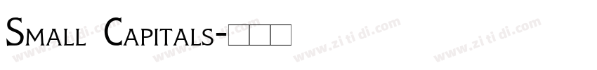 Small Capitals字体转换 Small Capitals字体转换
